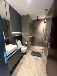 Irwell Hill Residences (D9), Apartment #619046291